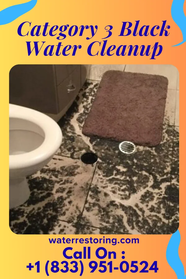 Category 3 Black Water Cleanup in Baldwin, PA