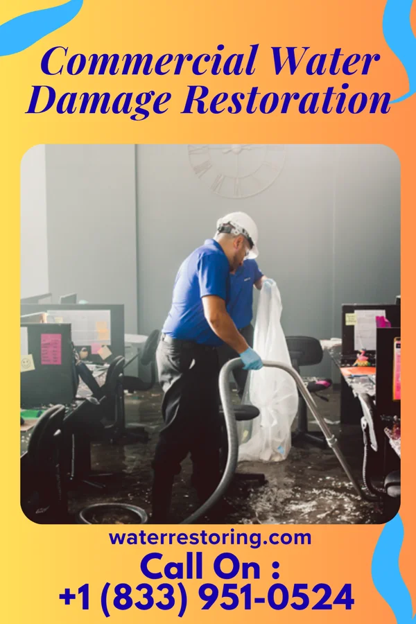Commercial Water Damage Restoration in Baldwin, PA