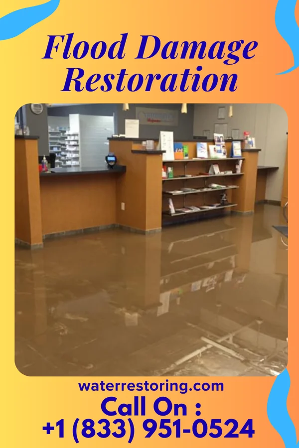 Flood Damage Restoration in Baldwin, PA