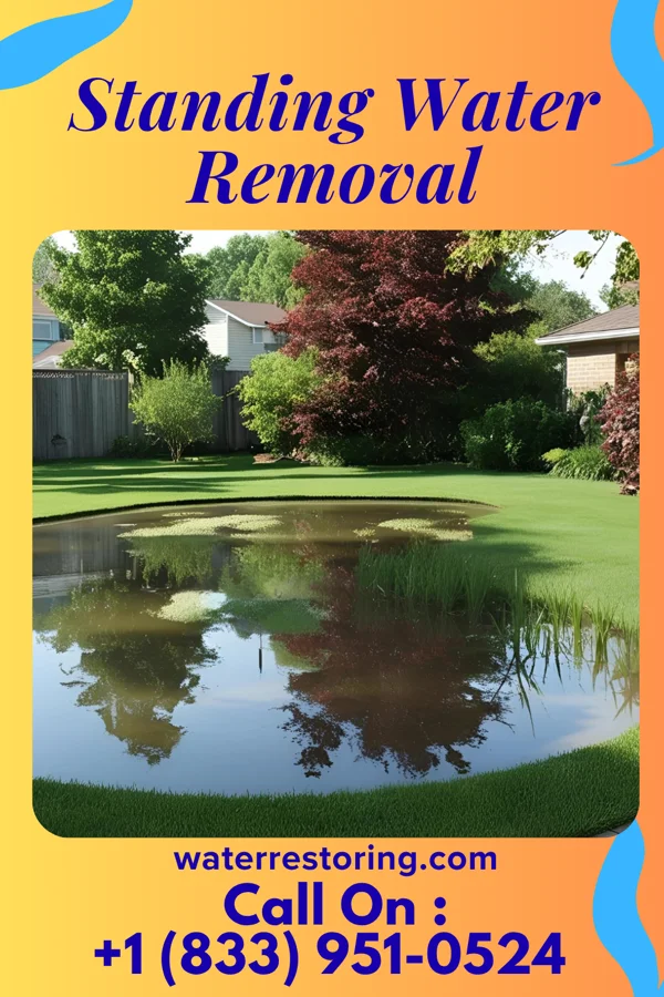 Standing Water Removal in Baldwin, PA